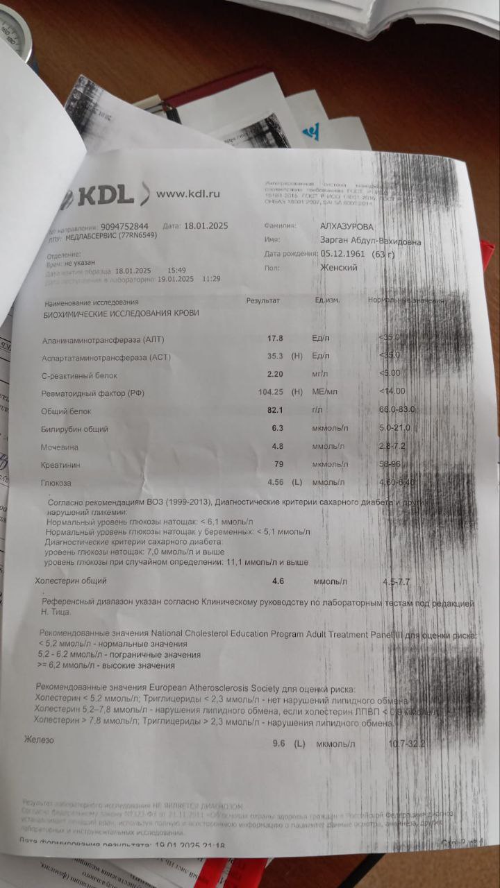 photo-1752970620451-tbsg6xceo.jpg